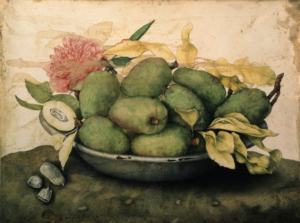 G.Garzoni / Bowl with Plums.../ c.1650 a Giovanna Garzoni