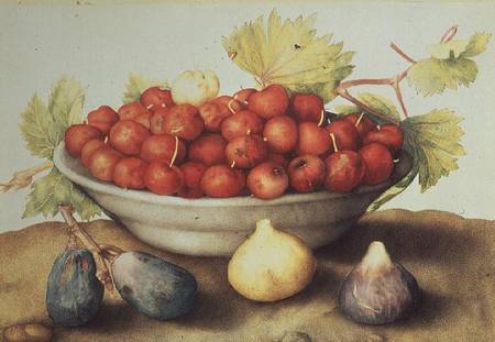 A Bowl of Cherries and Figs a Giovanna Garzoni