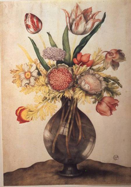 Crystal Vase of Flowers (w/c on parchment) a Giovanna Garzoni