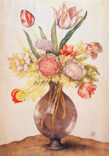 G.Garzoni, Tulpen, Mohn u.Päonie a Giovanna Garzoni