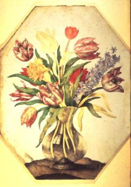 Glass Vase of Tulips with a Hyacinth a Giovanna Garzoni