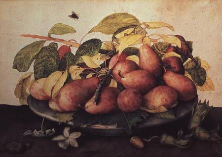 Pears with Hawthorns a Giovanna Garzoni