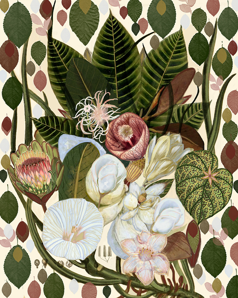 Earthy Blooms.png a giovanna nicolo