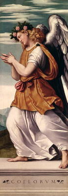 An Angel (panel) a Giovanni Battista Moroni
