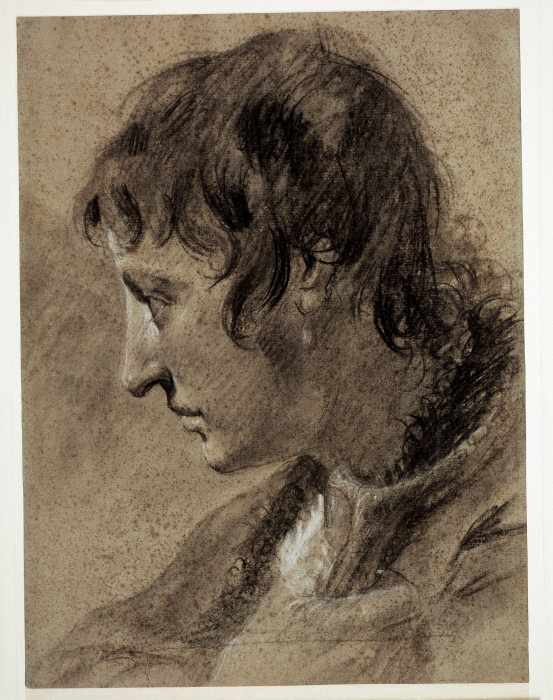 Kopf eines jungen Mannes a Giovanni Battista Piazzetta