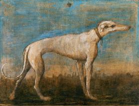 G.B.Tiepolo / Greyhound / Paint./ C18th