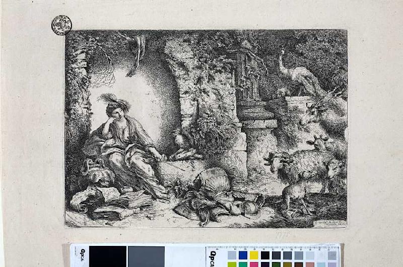 Circe verwandelt die Gefährten des Odysseus in Tiere a Giovanni Benedetto Castiglione