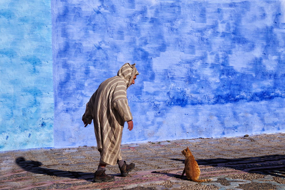 A man talking with a cat a Giovanni Cavalli