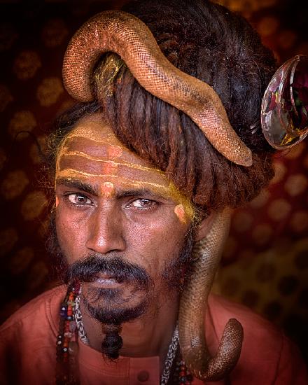 Young sadhu with a snake in his head of hair