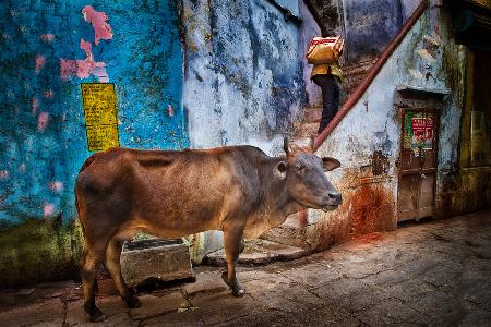 Varanasi Alley, 2019