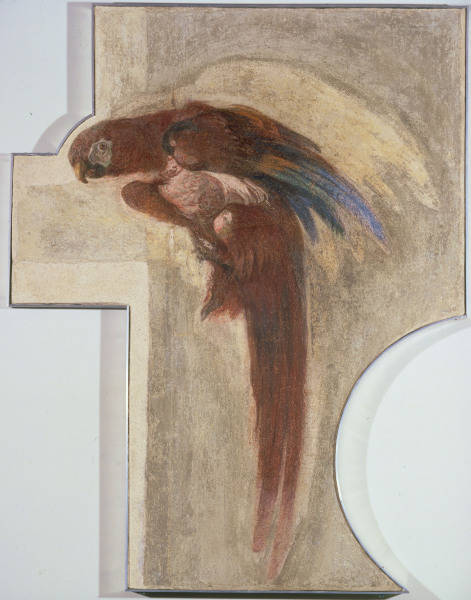 G.D.Tiepolo / Parrot / Fresco a Giovanni Domenico Tiepolo