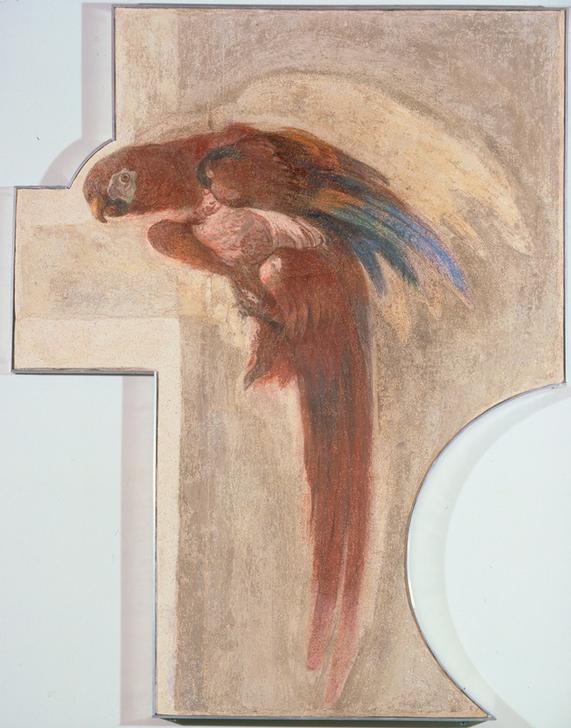 Parrot a Giovanni Domenico Tiepolo