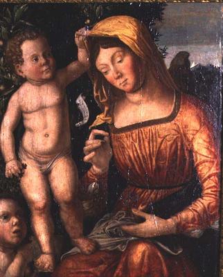 Madonna Sewing a Giovanni Francesco Caroto