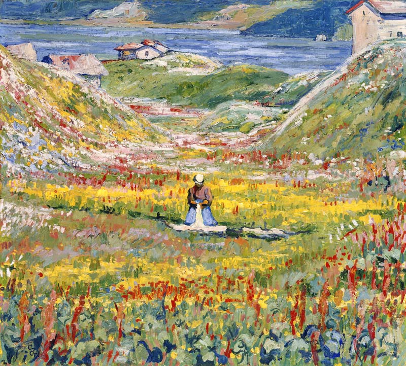 Flowering Meadows in Maloja; Bluhende wiesen bei Maloja a Giovanni Giacometti