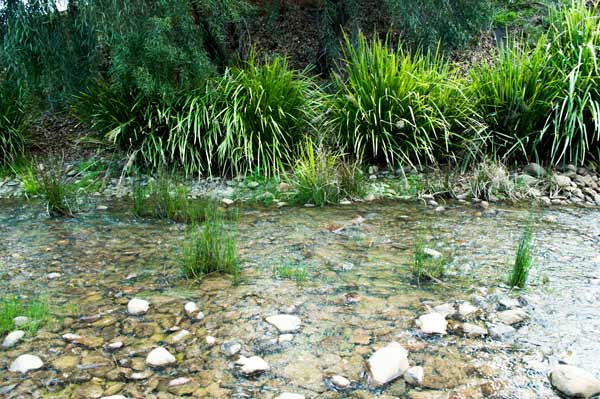 Quiet stream a Giulio Catena