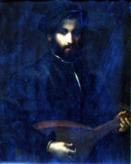 The Guitar Player (panel) a Giulio Campi