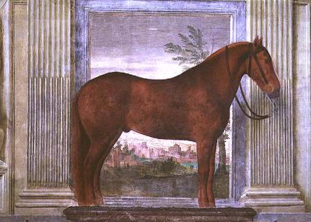 Sala dei Cavalli, detail showing a portrait of a chestnut horse from the stables of Ludovico Gonzaga a Giulio Romano