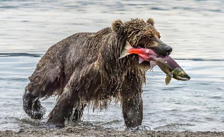 Fishing