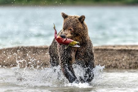 Fishing and running