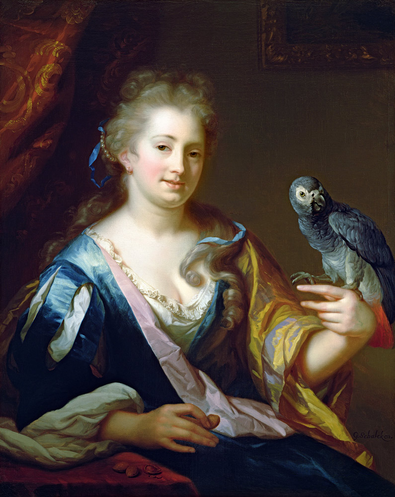 Portrait of a Lady feeding a parrot a Godfried Schalcken