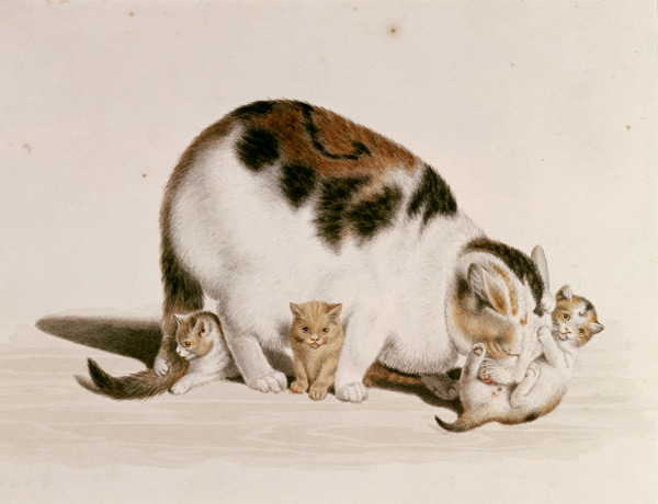 Cat with three boys a Gottfried Mind