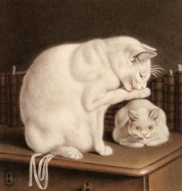 Two white cats on a table with books a Gottfried Mind