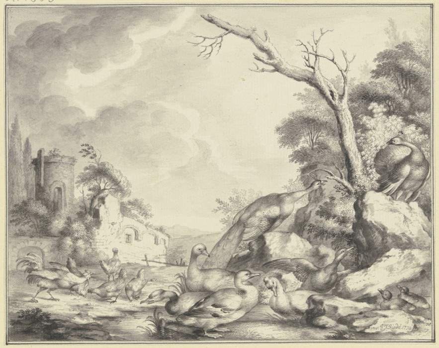 Hühner, Enten und Pfauen an einem Gewässer a Gottlieb Friedrich Riedel