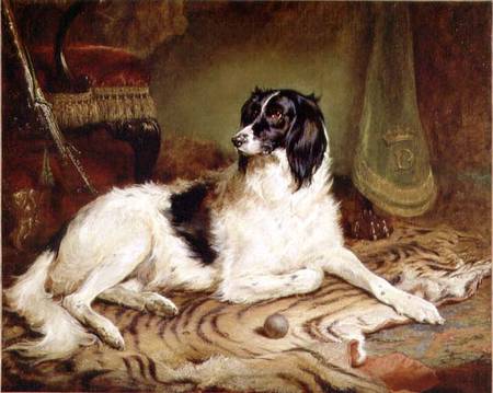 'Minna', a favourite dog of James, Marquess of Dalhousie a Gourlay Steell
