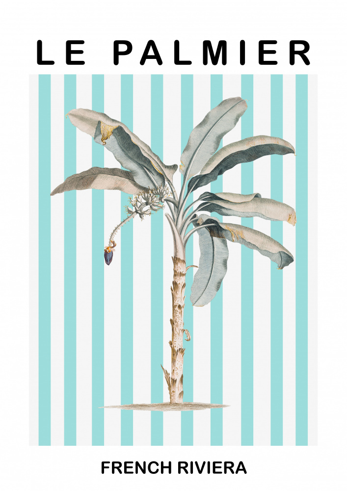Striped Palm Tree a Grace Digital Art Co