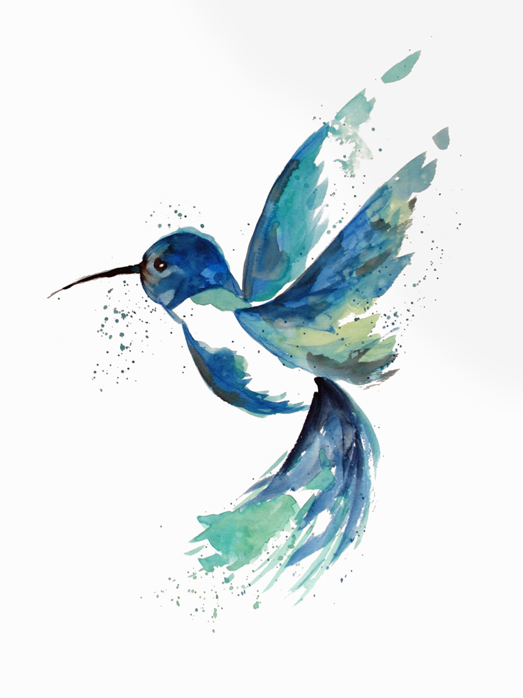 Colibri bleu a Sebastian  Grafmann