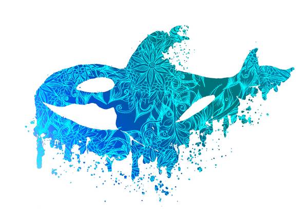 Blue Floral Orca Killerwhale a Sebastian  Grafmann