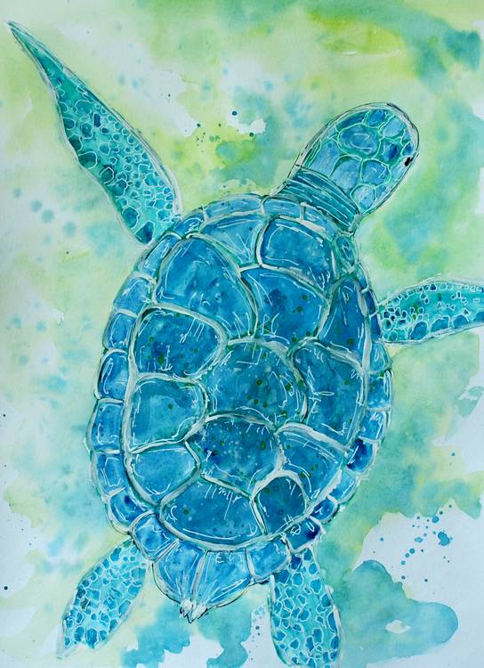 Blue Sea Turtle a Sebastian  Grafmann