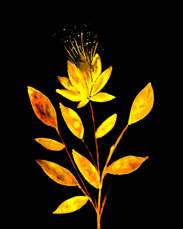 Goldene Feuerblume a Sebastian  Grafmann