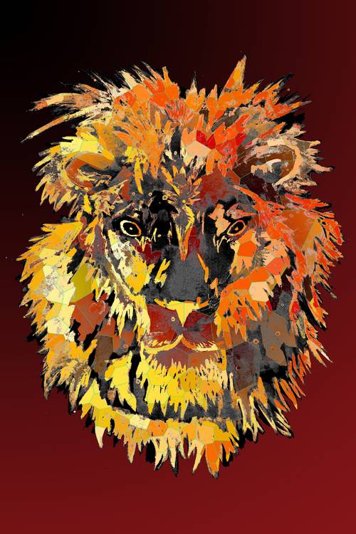Lion Head King of Africa a Sebastian  Grafmann