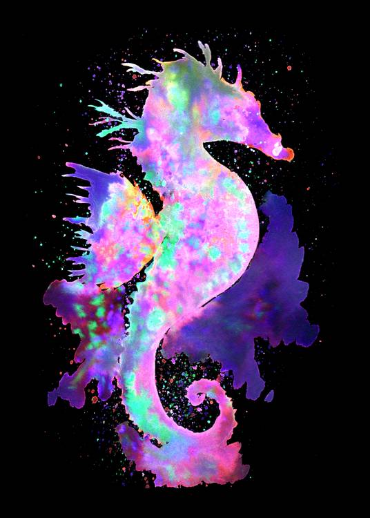 Magic Seahorse Space Nebula a Sebastian  Grafmann