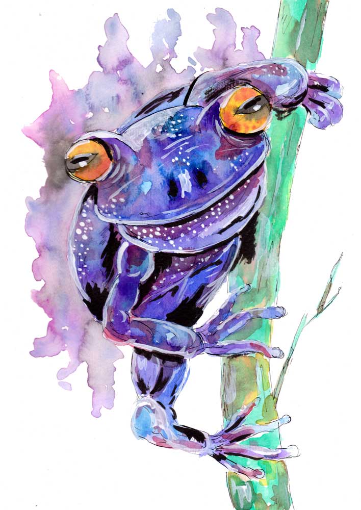 Purple Frog a Sebastian  Grafmann