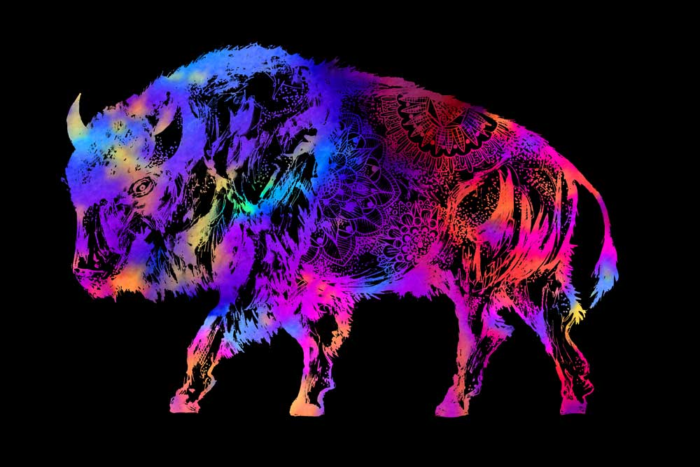 Rainbow Buffalo a Sebastian  Grafmann