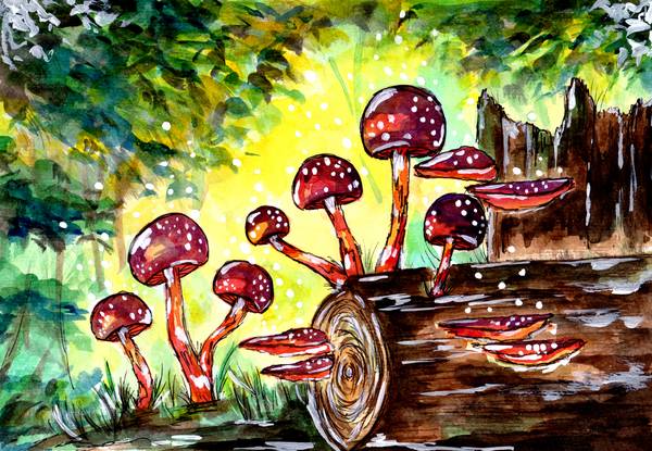 Red Mushrooms in the Forest a Sebastian  Grafmann