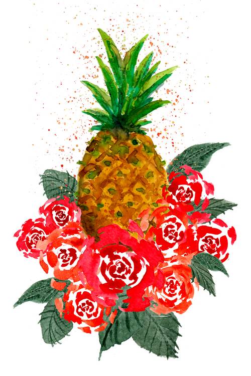 Roses and Pineapple a Sebastian  Grafmann
