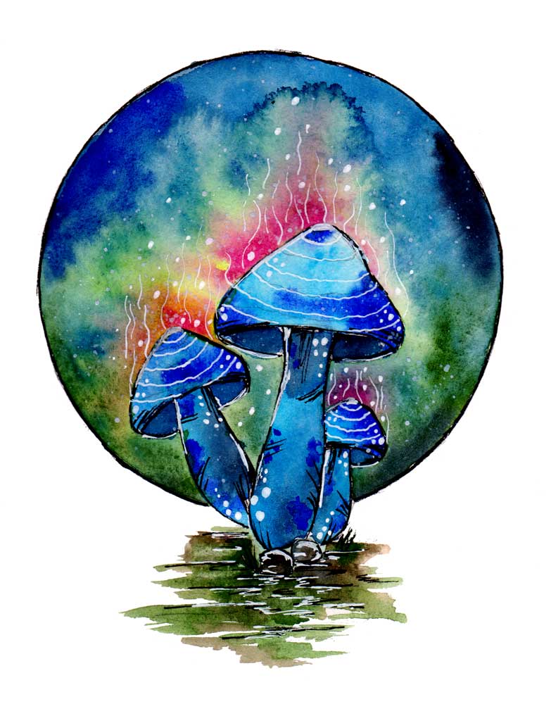 Toxic Blue Mushrooms a Sebastian  Grafmann