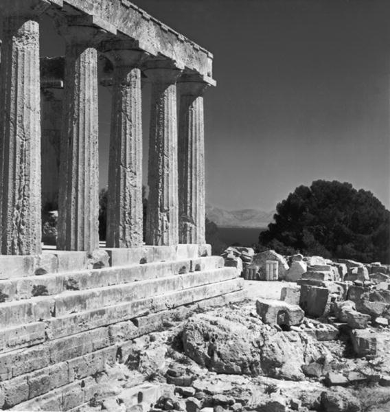 Temple of Aphaea (b/w photo)  a Greci Greci