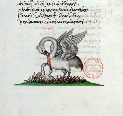 Ms 3401 A Pelican Piercing its Breast to Feed its Young, from a Bestiary by Manuel Philes, 1566 (vel a Greek School, (16th century)