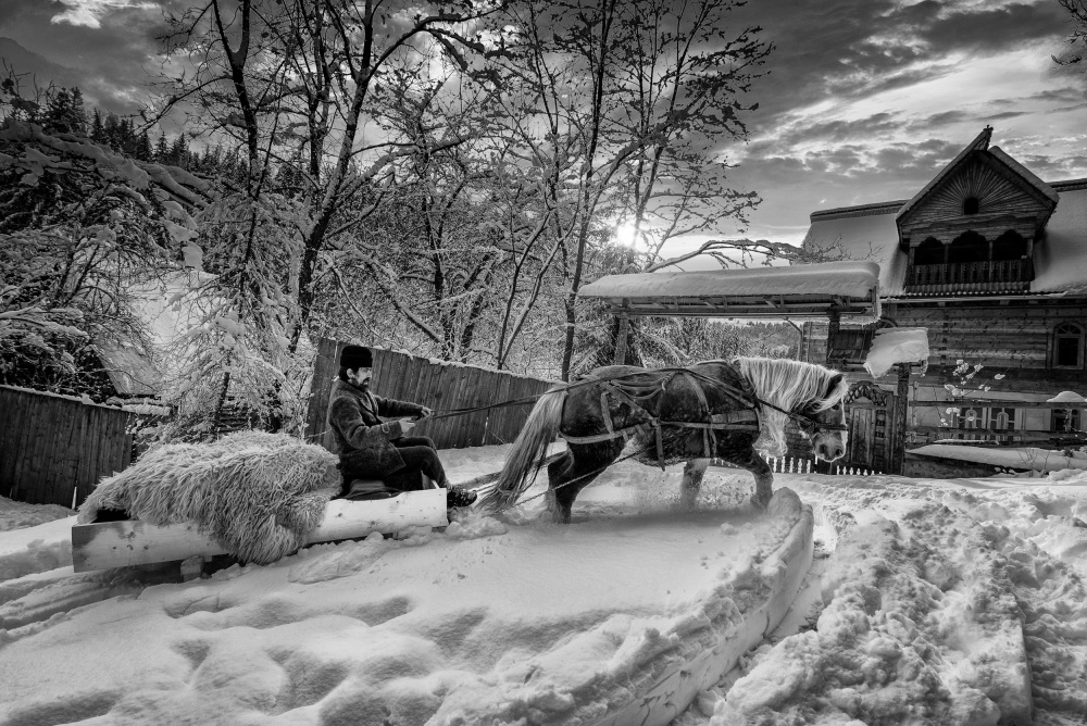 Hard Winter a Grigore Roibu