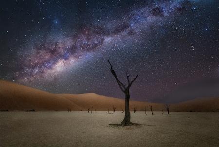 The Milkyway at Deadlvei