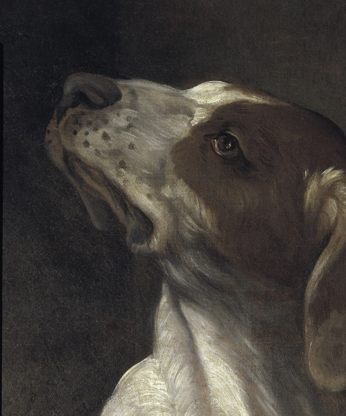 Reni / St.Roche / Detail: dog / c.1617 a Guido Reni