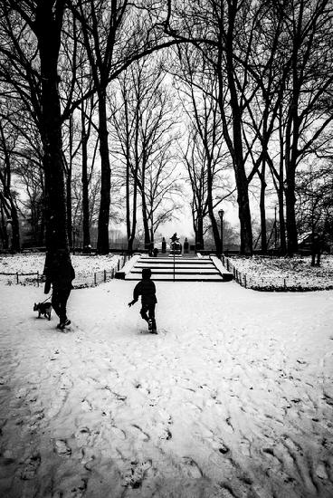 Central Park Steps