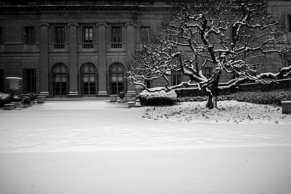 Frick Collection Winter N¬∫2 a Guilherme Pontes