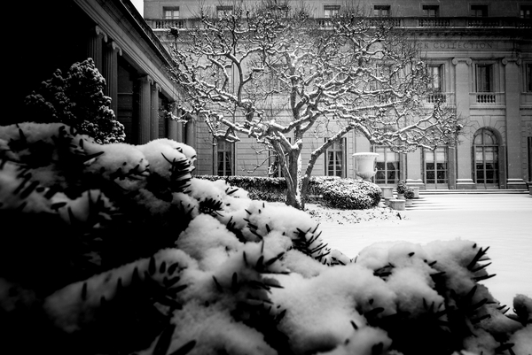 Frick Collection Winter N¬∫3 a Guilherme Pontes