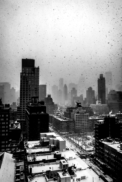 Heavy New York Snow a Guilherme Pontes