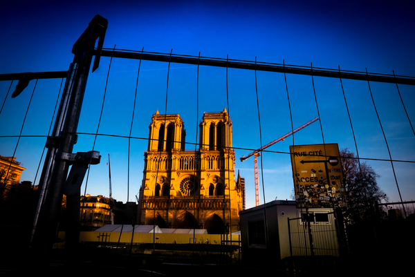 Notre Dame under reconstruction a Guilherme Pontes